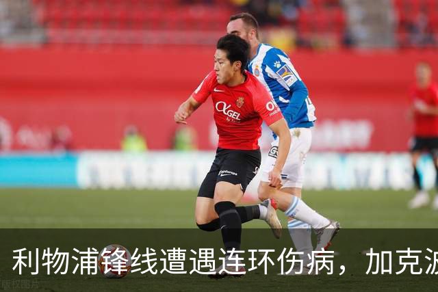 利物浦锋线遭遇连环伤病，加克波短暂出场即受伤
